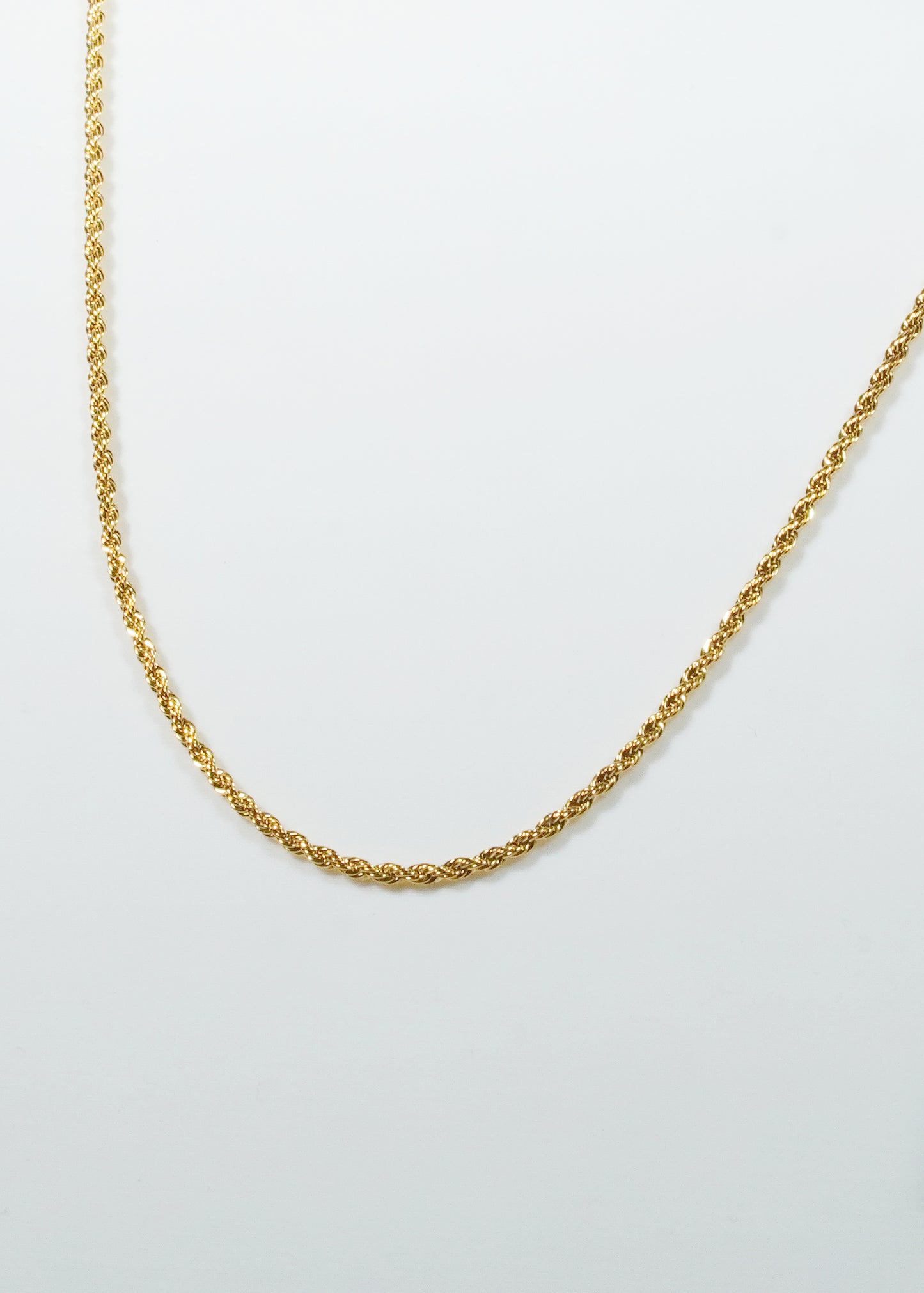 Twisted Chain Necklace